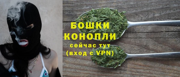 прущий лед Пересвет